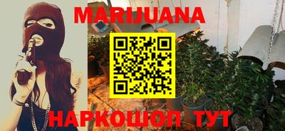 сатива Краснознаменск