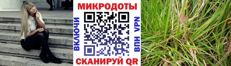 ОМГ ОМГ вход Кандалакша Галлюциногенные грибы мицелий